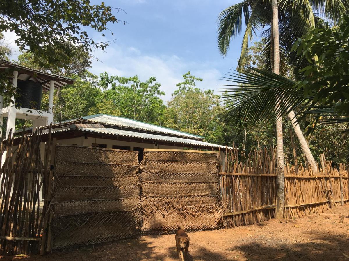 Cashew Villa Hiriketiya Dikwella Esterno foto