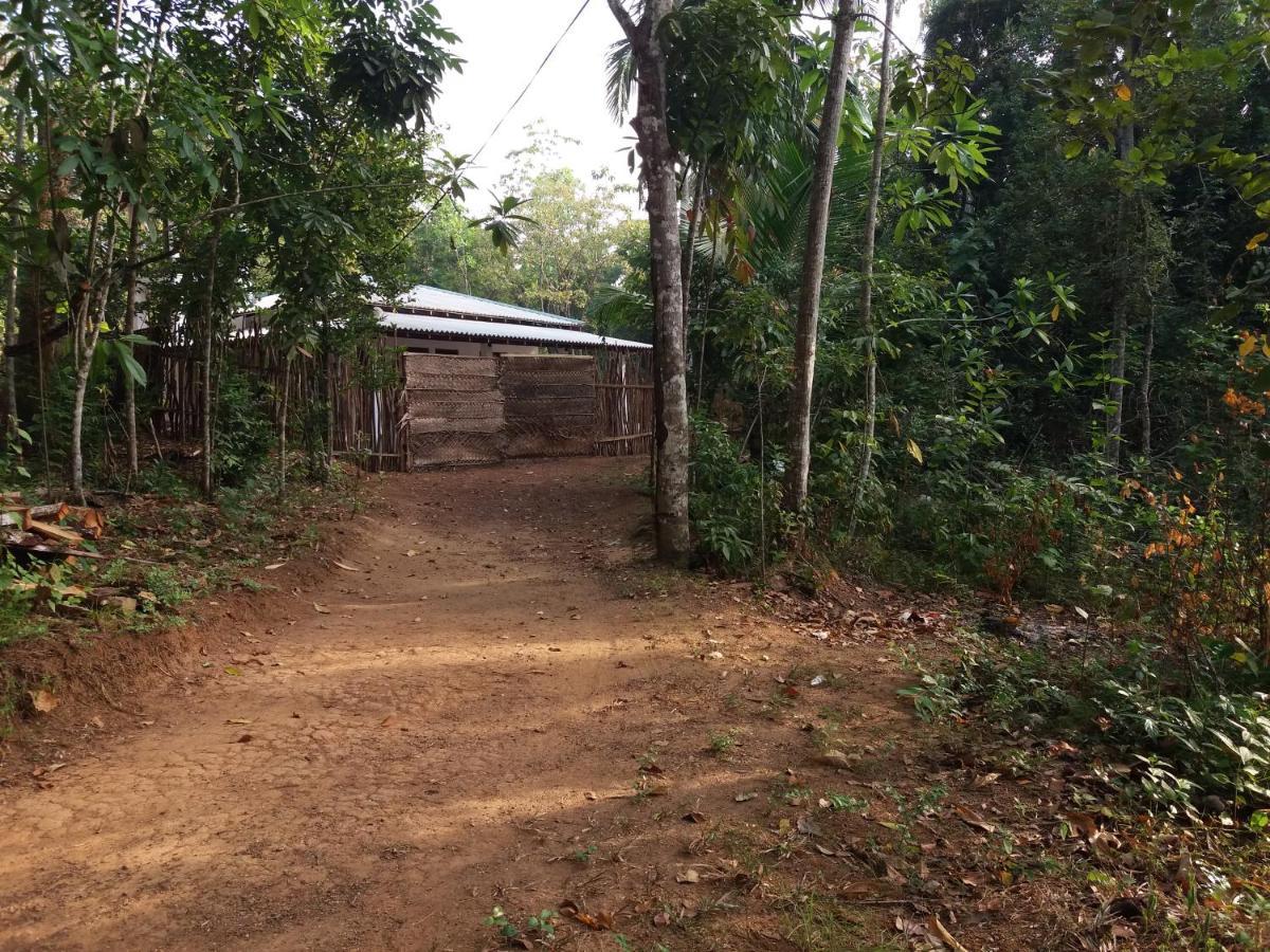 Cashew Villa Hiriketiya Dikwella Esterno foto