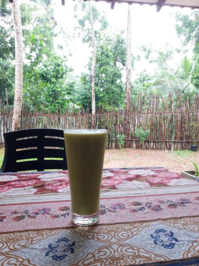 Cashew Villa Hiriketiya Dikwella Esterno foto