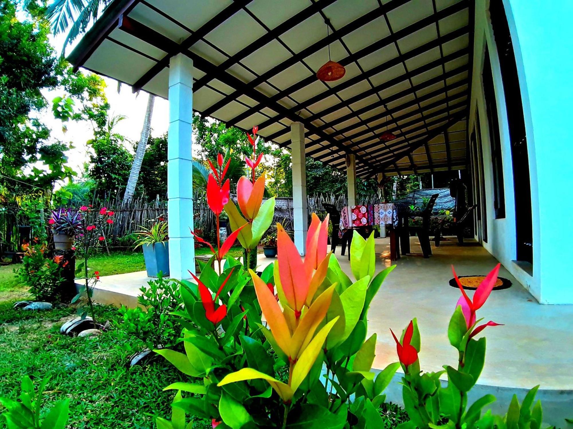 Cashew Villa Hiriketiya Dikwella Esterno foto