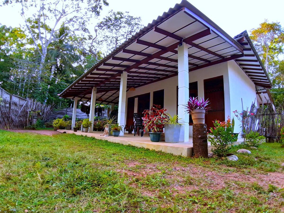Cashew Villa Hiriketiya Dikwella Esterno foto