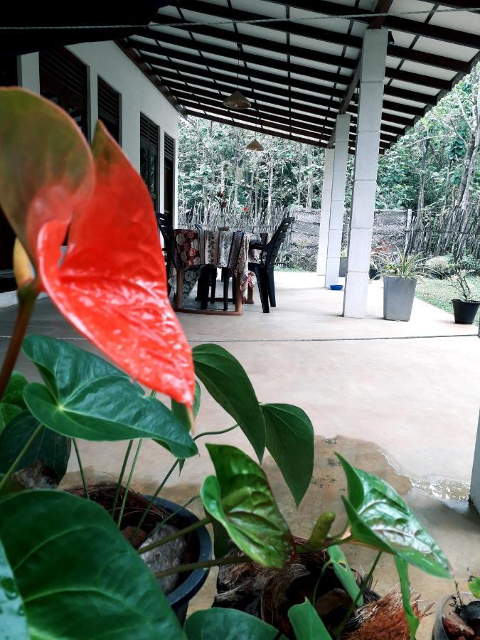 Cashew Villa Hiriketiya Dikwella Esterno foto
