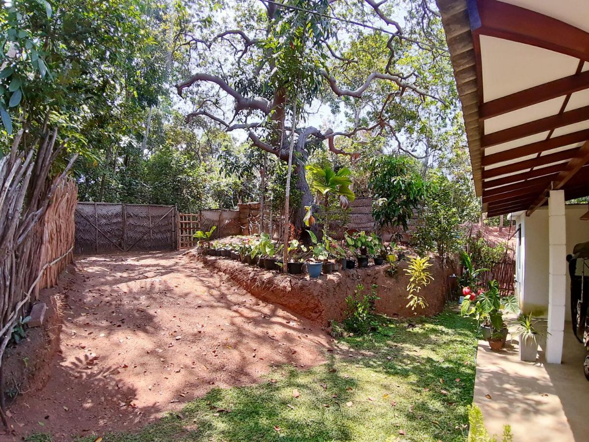 Cashew Villa Hiriketiya Dikwella Esterno foto