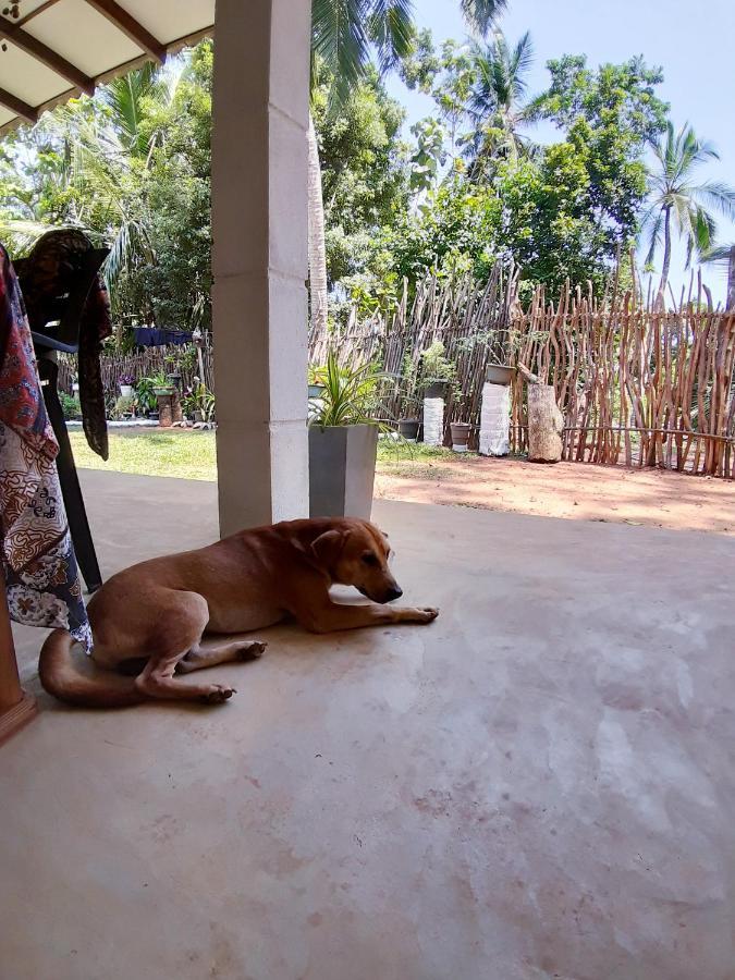 Cashew Villa Hiriketiya Dikwella Esterno foto