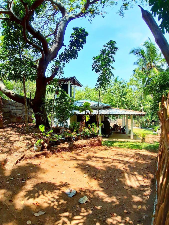 Cashew Villa Hiriketiya Dikwella Esterno foto